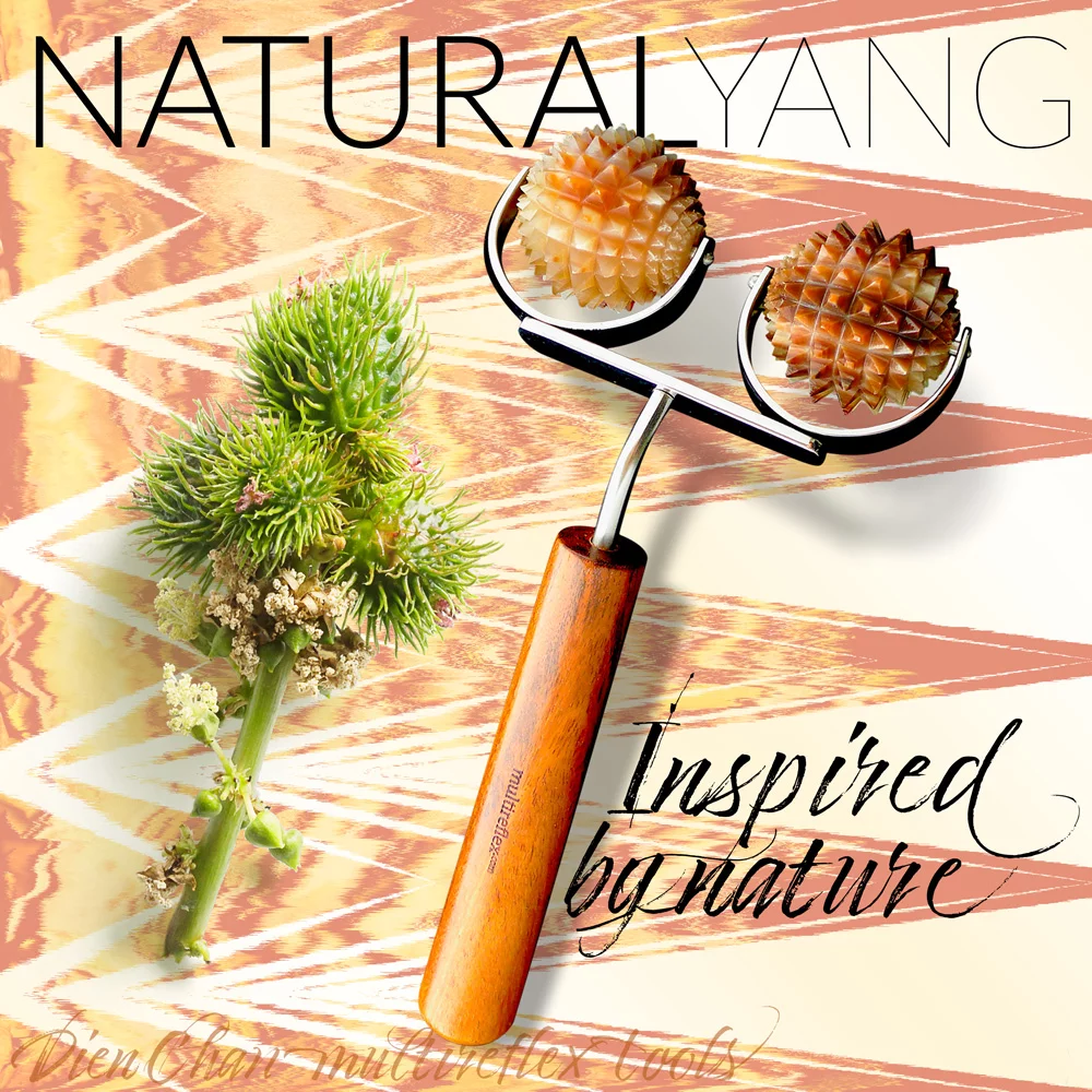 ferramenta facial de chifre natural - Dupla bola yang