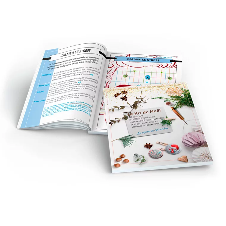 ebook reflexologia facial PDF - Fichas Cuidados de inverno