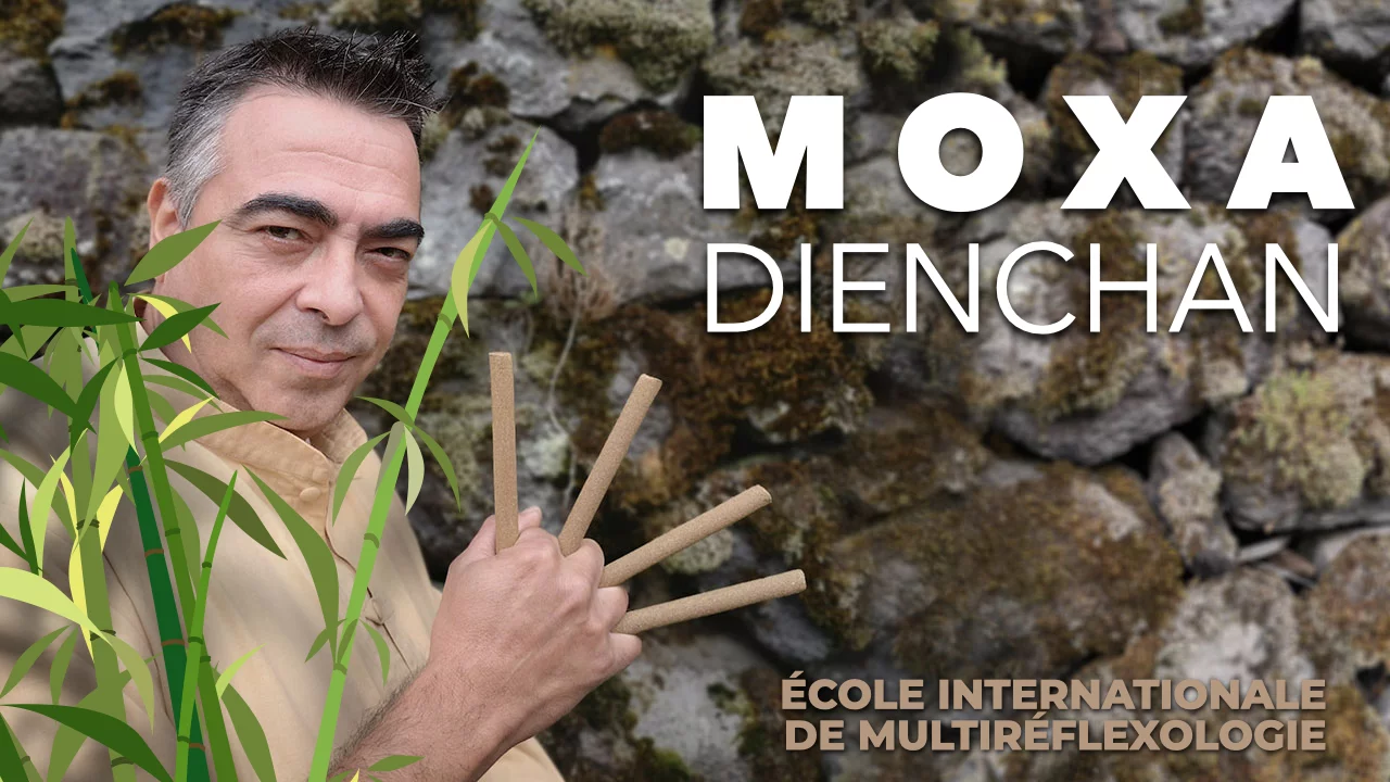rolo lifting facial natural - Moxas de artemísia