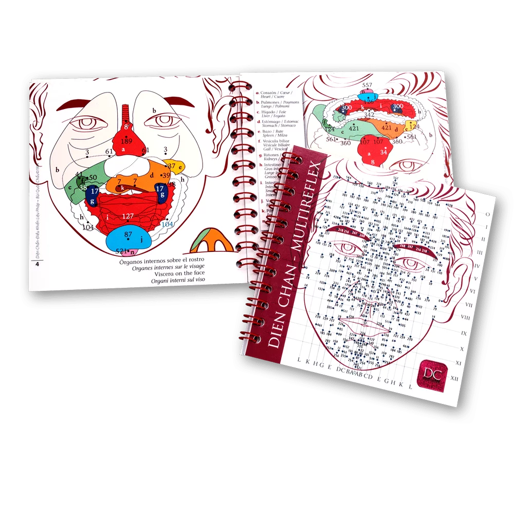 livro aprender reflexologia facial - MiniBook dos esquemas